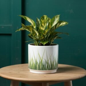 Seagrass pot (indoor outdoor)